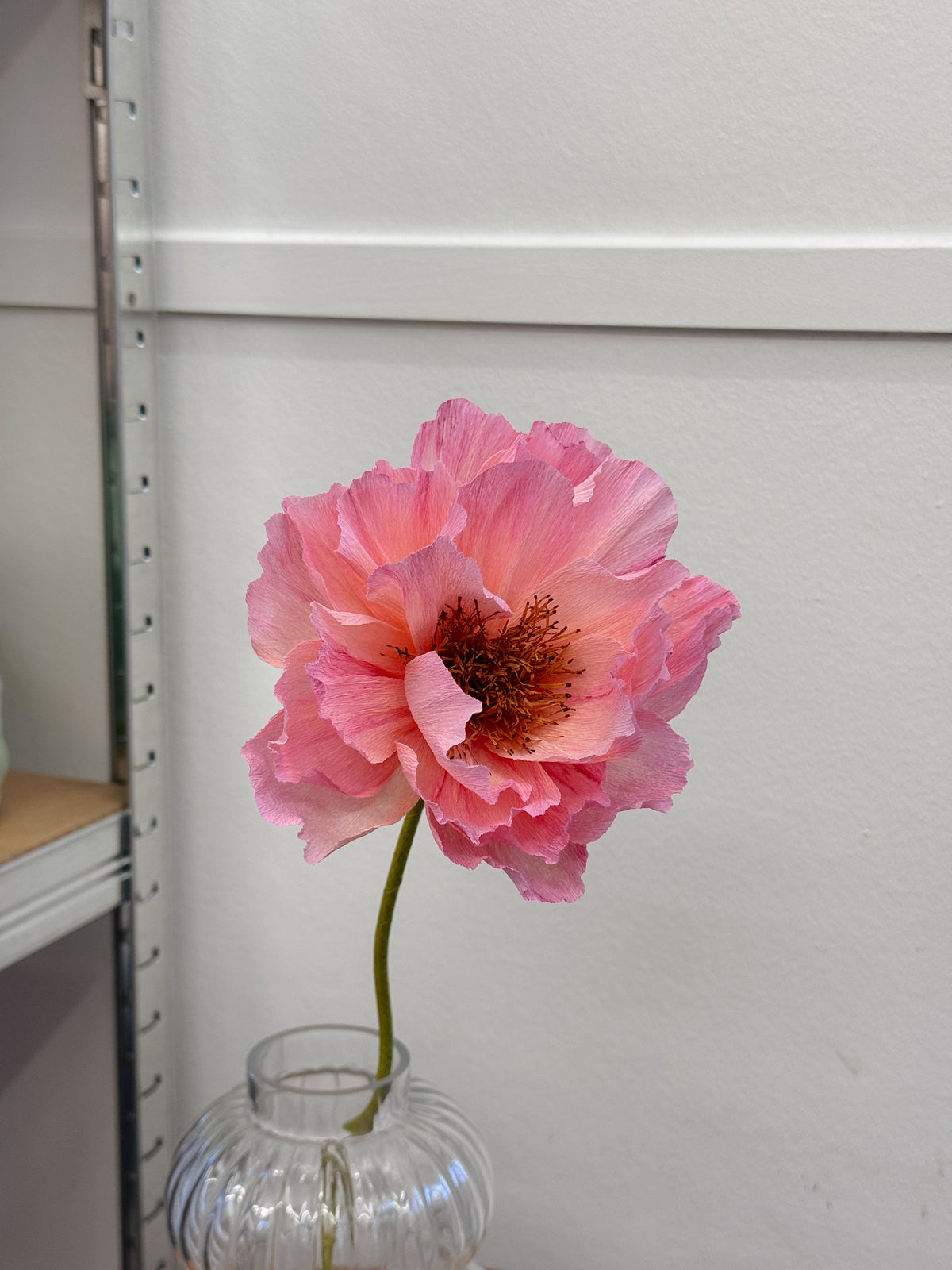 DIY kit, crepe paper flowers (3 pieces)